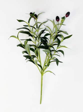 картинка Олива букет 6 веток от магазина KALINA