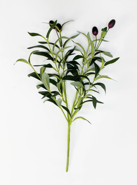 картинка Олива букет 6 веток от магазина KALINA