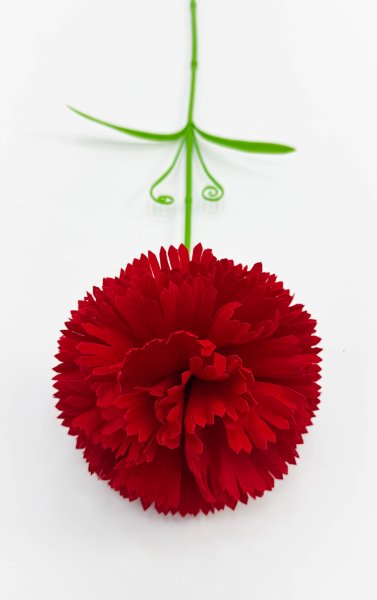 Хризантема штучная крупная