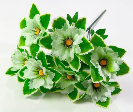 Георгин с белой каймой 7 цветков