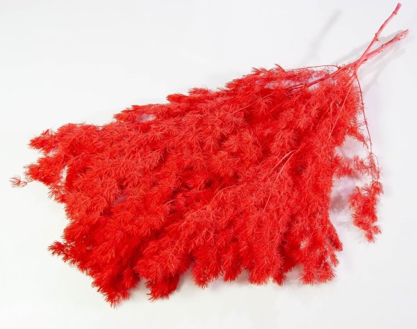 Аспарагус стабилизированный 2