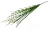 Пеннисетум (Лисий хвост) 90 см 7 веток