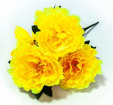Букет пиона " Муза" 6 веток 6 цветков от магазина KALINA являющийся официальным дистрибьютором в России 