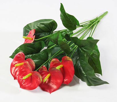 Антуриум "Красный" 5 цветков от магазина KALINA являющийся официальным дистрибьютором в России 