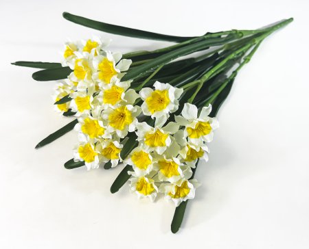 Нарцисс 28 цветков