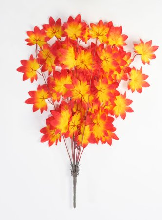 картинка Ветка клена осеннего от магазина KALINA