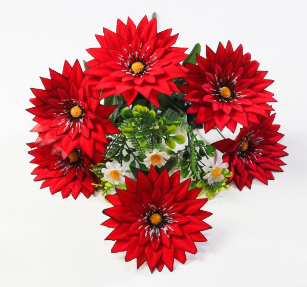 Георгин с ромашкой "Багира" 6 цветков