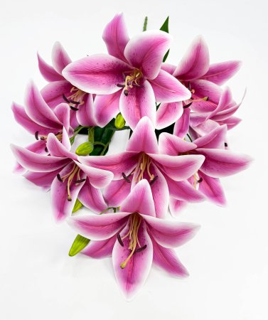 Лилия "Супер гигант" 9 цветков