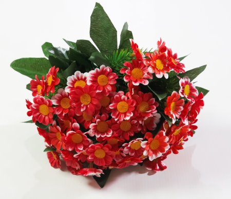 Ромашка садилка. 5 цветков.