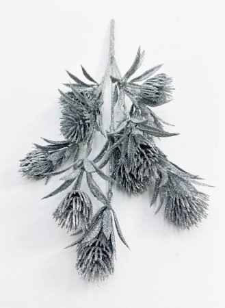 Василистник серебро