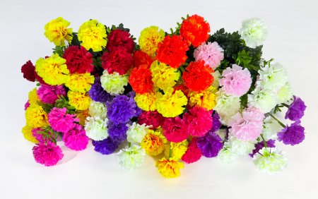 Гвоздика "Карусель" 12 цветков