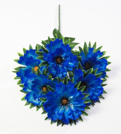 Георгин "Свирель" 6 цветков