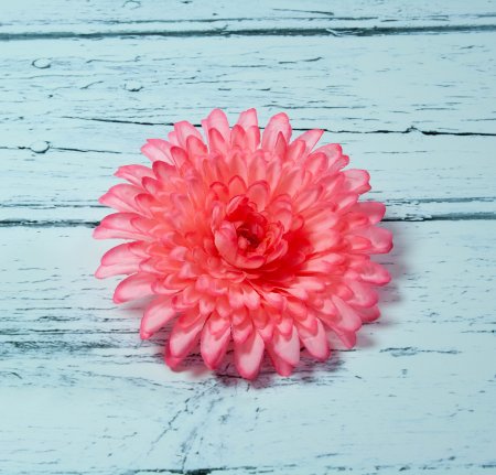 Насадка георгина