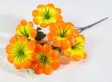 Букет лилий Луиза 6 цветков