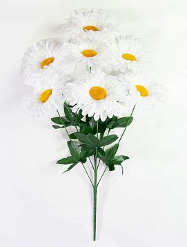 Ромашка "Лунный свет" 7 цветков от магазина KALINA являющийся официальным дистрибьютором в России 
