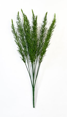 картинка Вереск зеленый от магазина KALINA