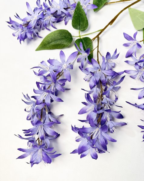 Глициния шелковистая фиолетовая