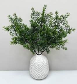 Туя "Летняя пора" темно-зеленая