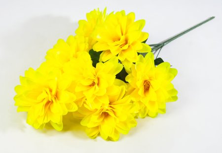 Георгин "Виталина" 7 цветков