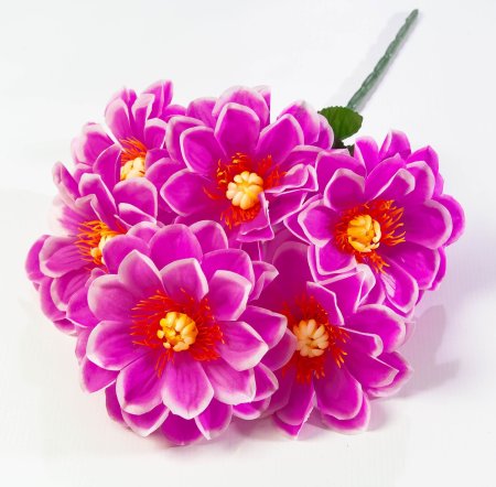 Букет " Лопуха" 6 веток  6 цветков