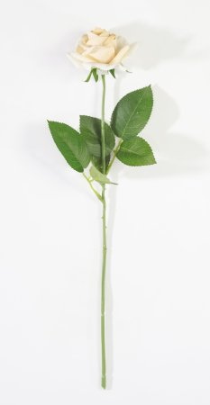 Роза с латексным покрытием открытая золото