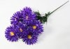 Хризантема "Китти" 7 цветков