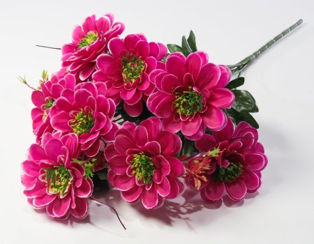 Георгин "Василиса" 9 цветков