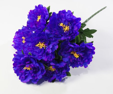 Пион "Гарант" 7 цветков