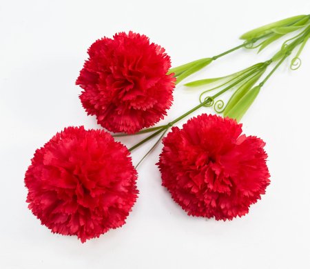 Гвоздика "Шабо" красная