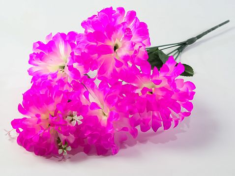 Хризантема "Жар-Птица" 5 цветков от магазина KALINA являющийся официальным дистрибьютором в России 