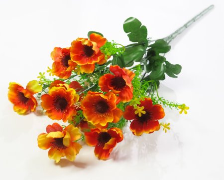 Полевой цветок 11 цветков