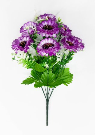 Цинния 9 цветков