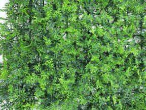 Газон "Кипарис", искусственные цветы и декор КалинаКрас