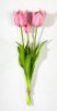 Тюльпан "Саппоро" (2+1) розовый