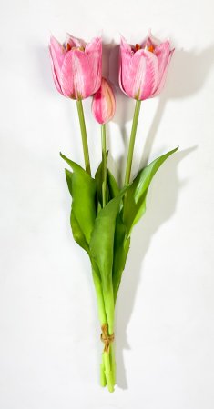 Тюльпан "Саппоро" (2+1) розовый