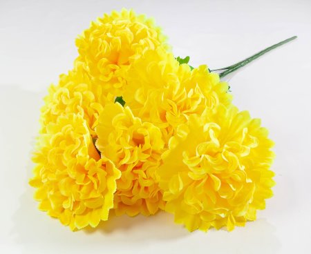 Шафран "Звезда великан"