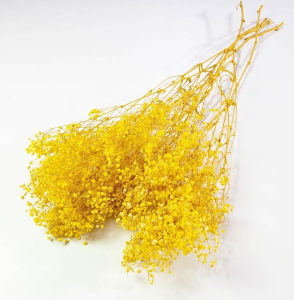 Гипсофила 2