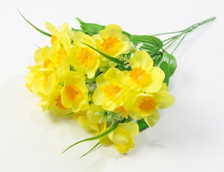 Нарцисс "Лига" 20 цветков