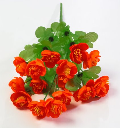 Купавница "Жарок" 5 веток