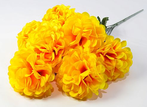Букет шафрана "Великан" 7 цветков от магазина KALINA являющийся официальным дистрибьютором в России 