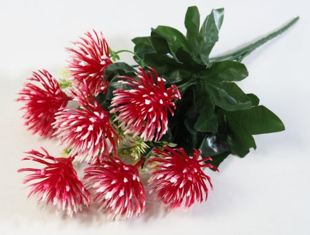 Букет "Полька" 7 цветков