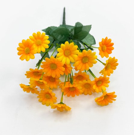 Ромашка "Медовая" 22 цветка