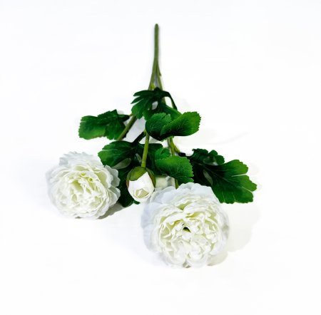 Пион Махровый 2 цветка 1 бутон белый