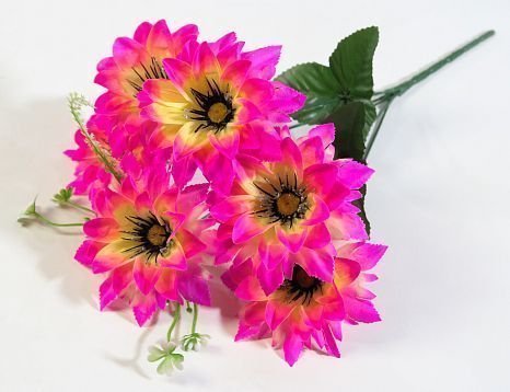 Букет георгина "Апачи" 6 цветков от магазина KALINA являющийся официальным дистрибьютором в России 