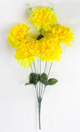 Хризантема "Жар-Птица" 5 цветков