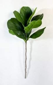 картинка Лирата 9 листов от магазина KALINA