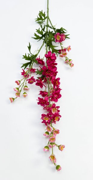 Дельфиниум малиновый