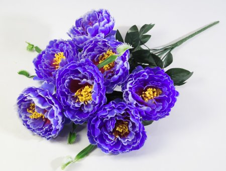 Букет пиона "Сапфир" 7 цветков