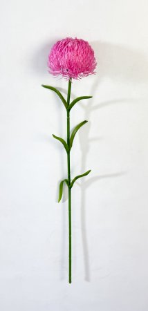 Гвоздика розовая