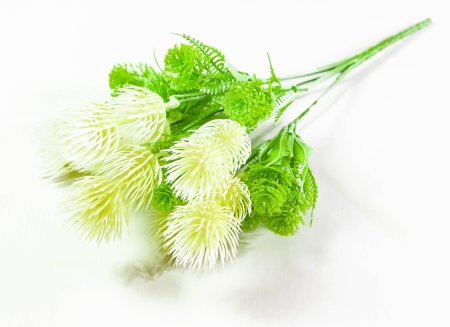 Букет гемантуса